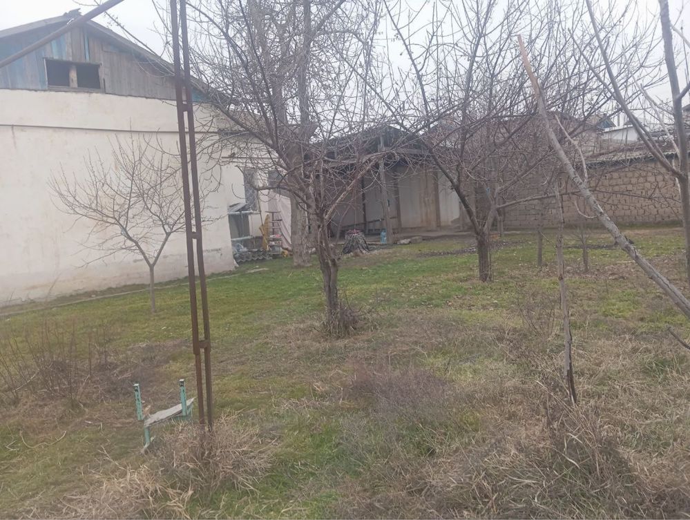 UY SOTILADI 9 sotih 5 xona toshent viloyati quychirchiq tumanida