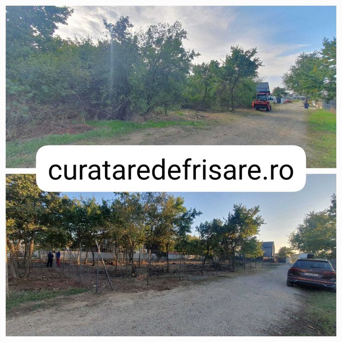 Curatare teren / defrisare / nivelare/ imprejmuire /intretinere anuala