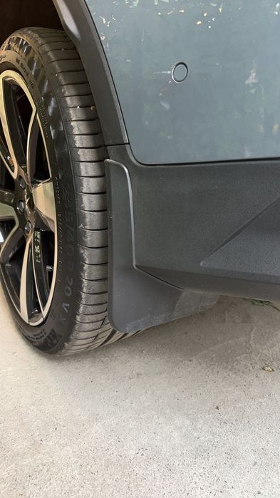 Polestar 2 brizgovik