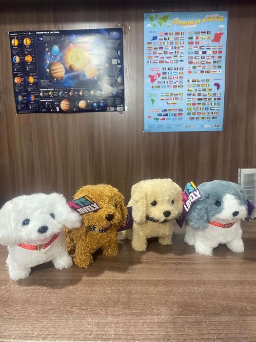 Собачки в разных расцветках