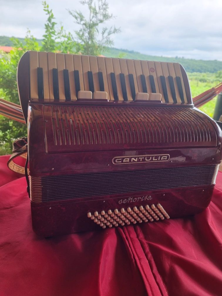 Acordeon de mărime medie