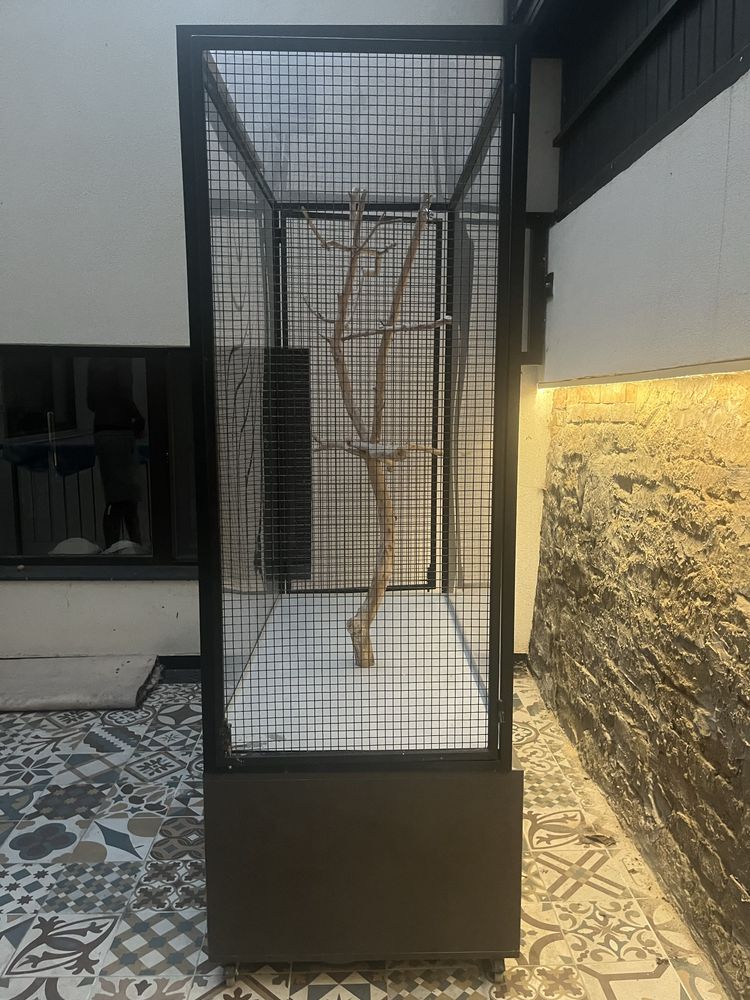 Cusca papagali/pasari