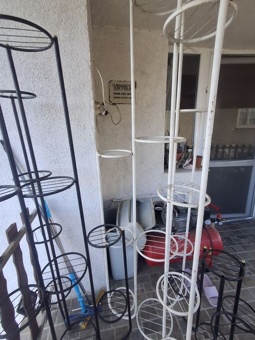 Цветарници  голями