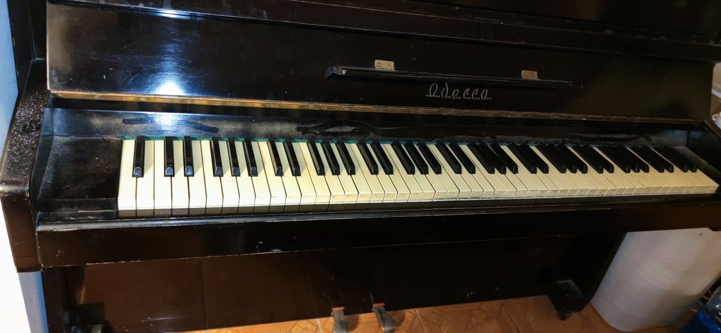 Pianina Odessa  85 clape