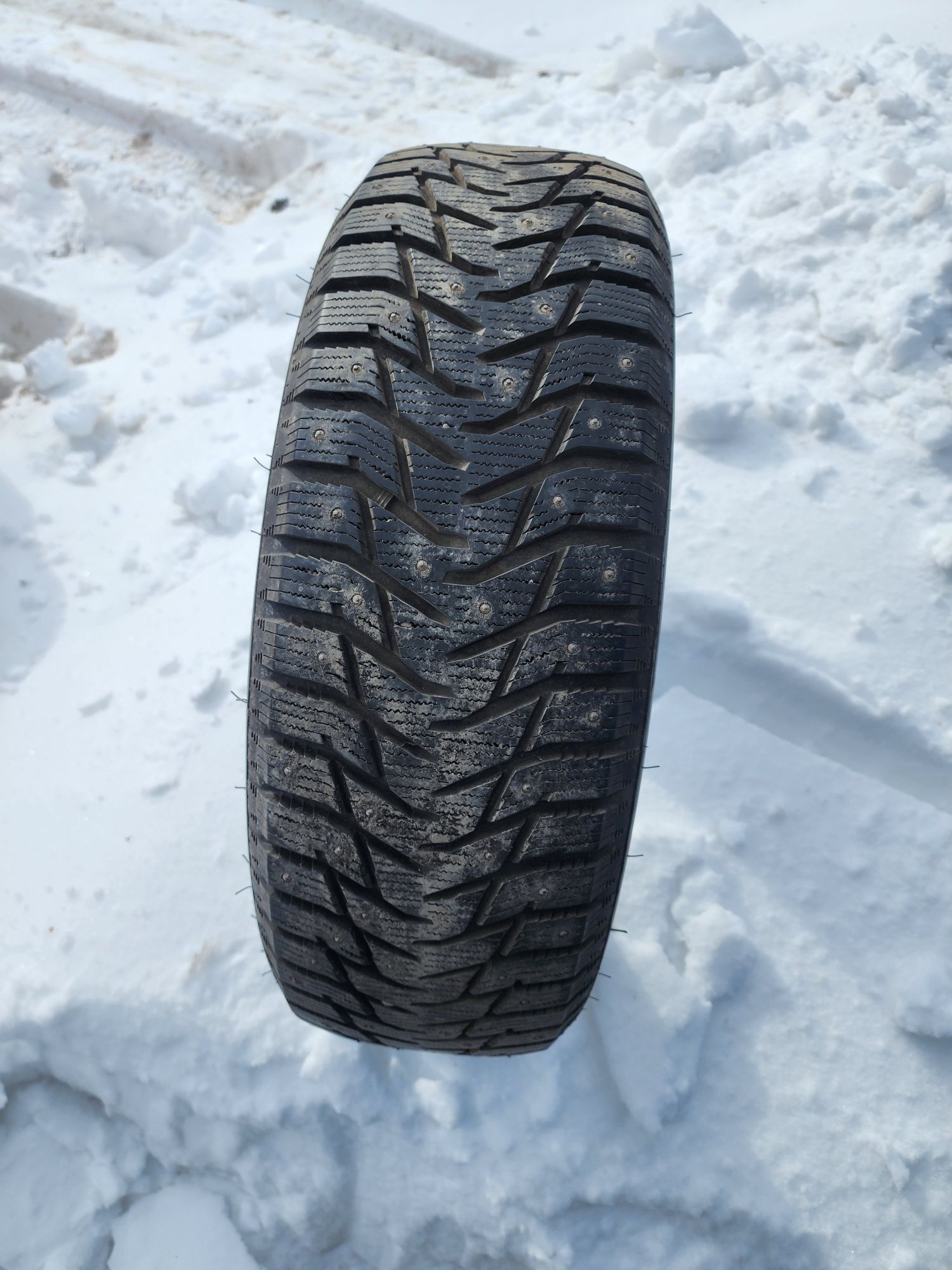 Sailun ice blazer wst3