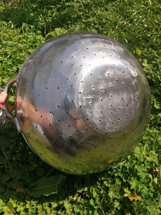 Голямо сито гевгир