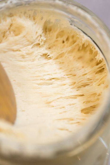 Starter pentru Pâine cu Maia (Drojdie Sălbatică) – Stabil și Matur