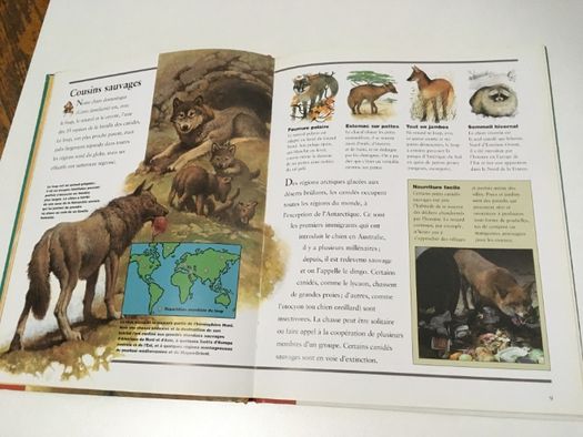 2 детски книжки на френски и английски език Les Chiens кучета