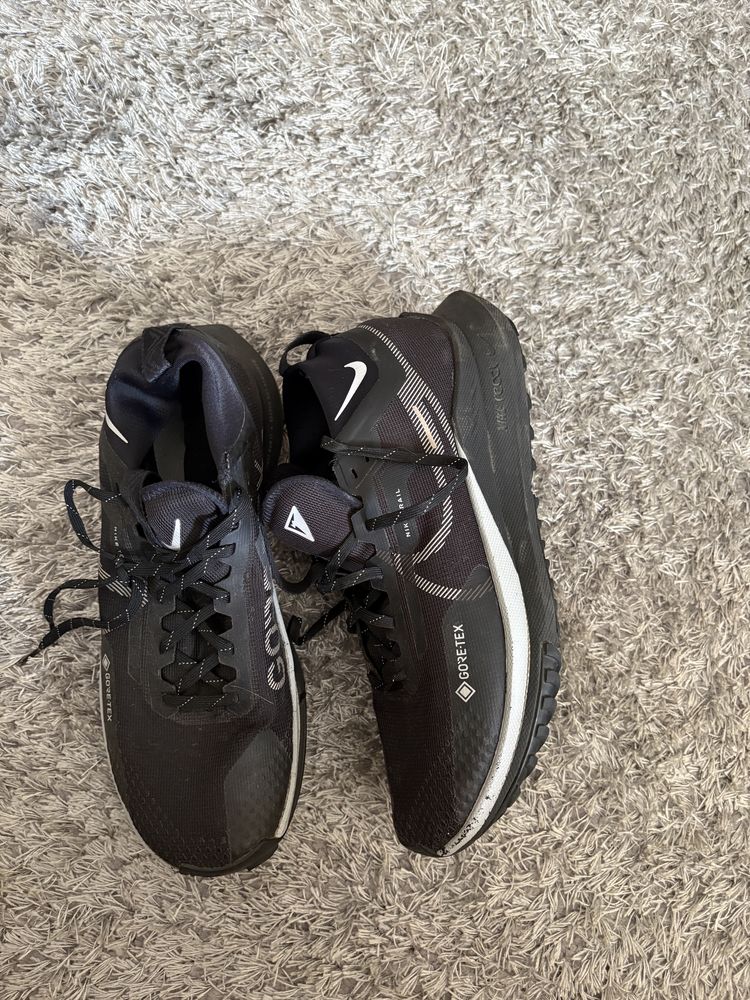 Nike Pegasus Trail 4 Gore-Tex Trainers