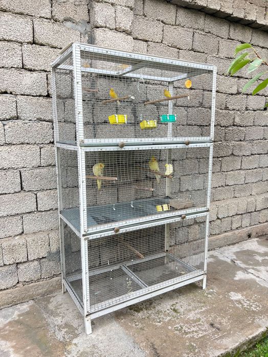 Клетка для птицы