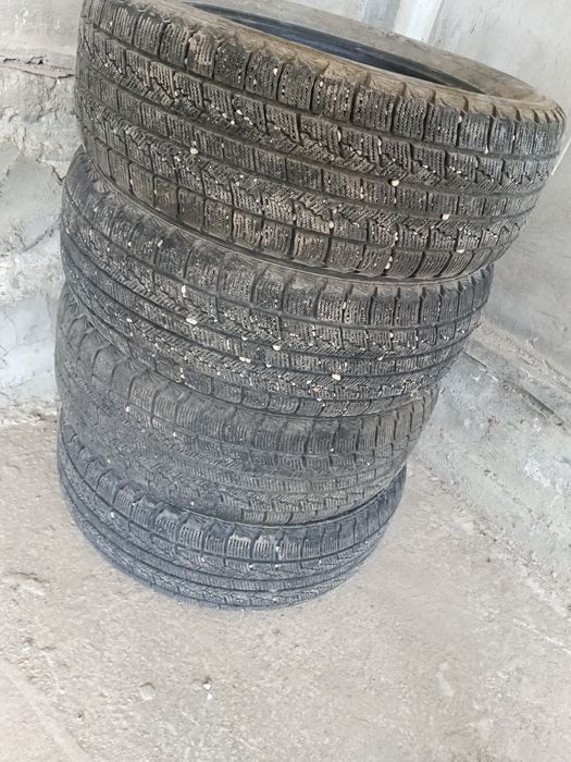 Зимние шины от Nexen