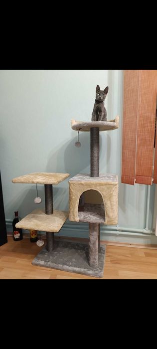 Căsuța de joaca pentru pisici