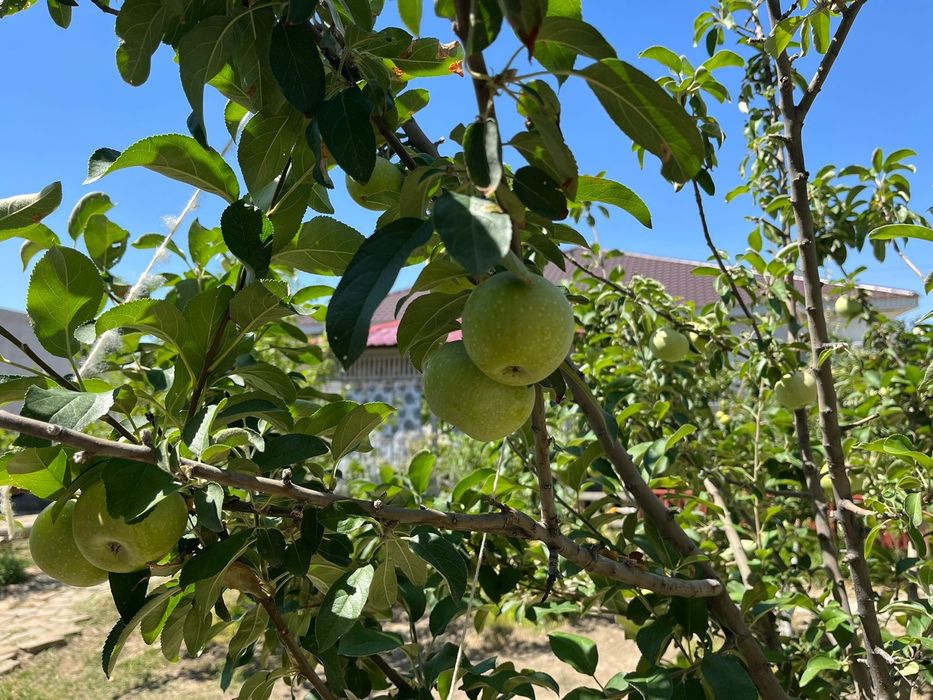 Продам дом со двором