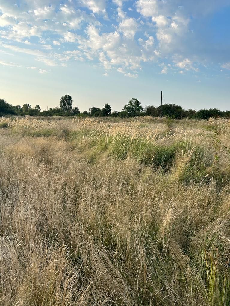 Vand 8 ha teren agricol la asfalt Stiuca (18km de Lugoj)