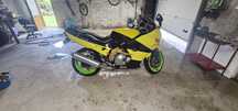 Kawasaki zzr 600 D