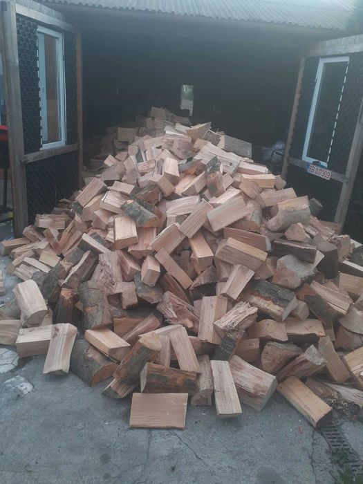 Vand Lemn de foc fag