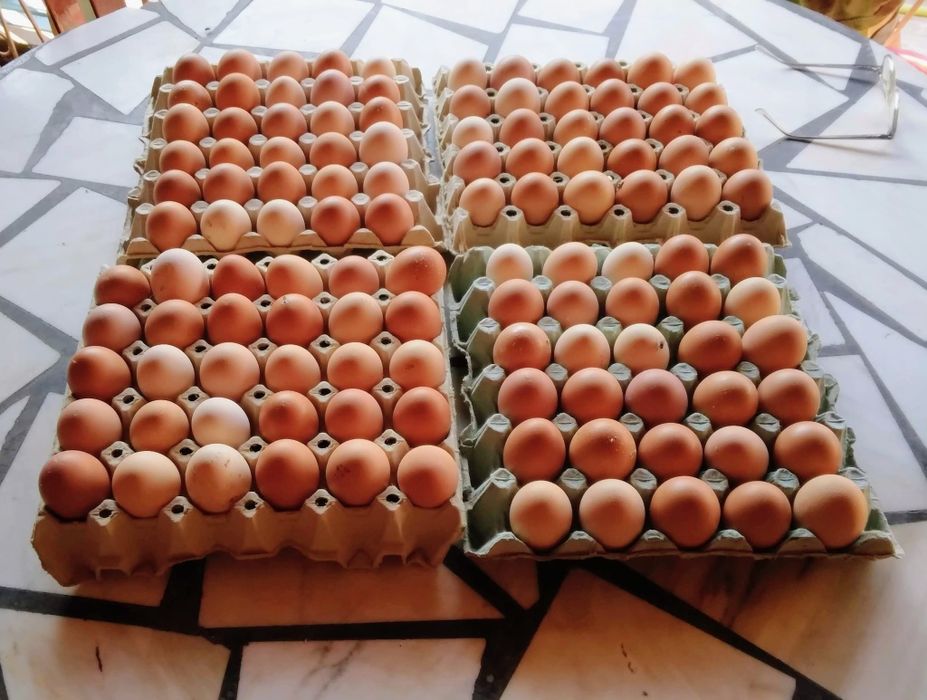 Oua de casa proaspete si naturale