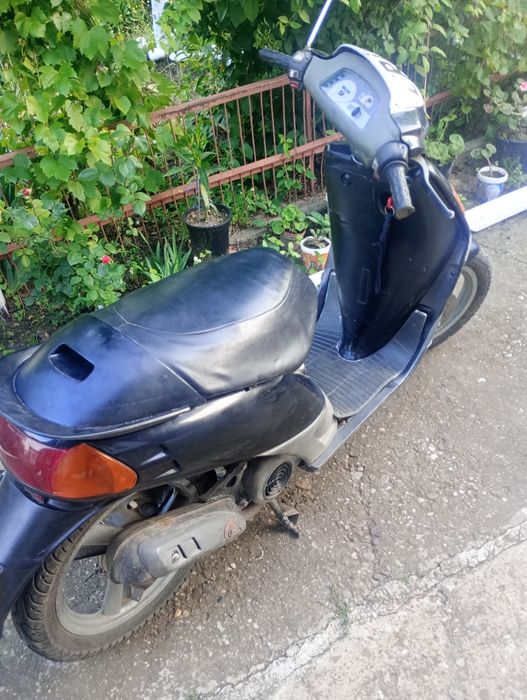 Malagutti centro 50