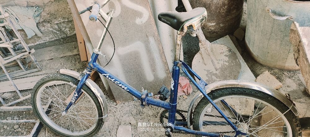 velosepet sotiladi aist