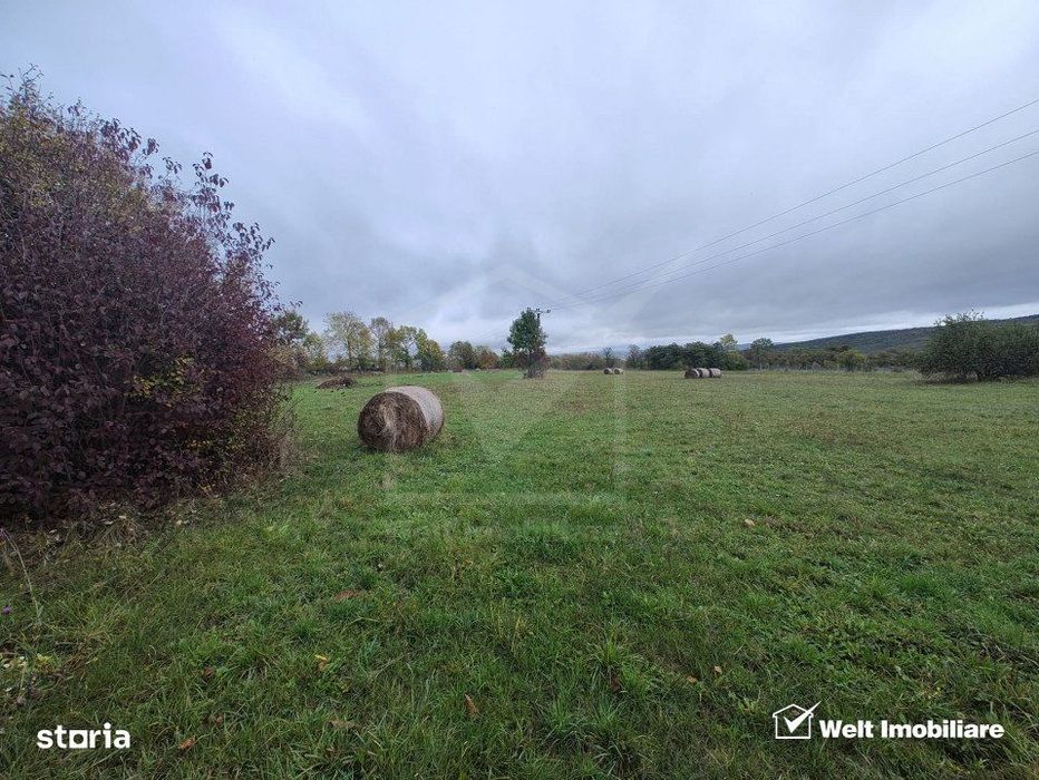 Teren intravilan in Padureni - Chinteni, 3200 mp, intre case