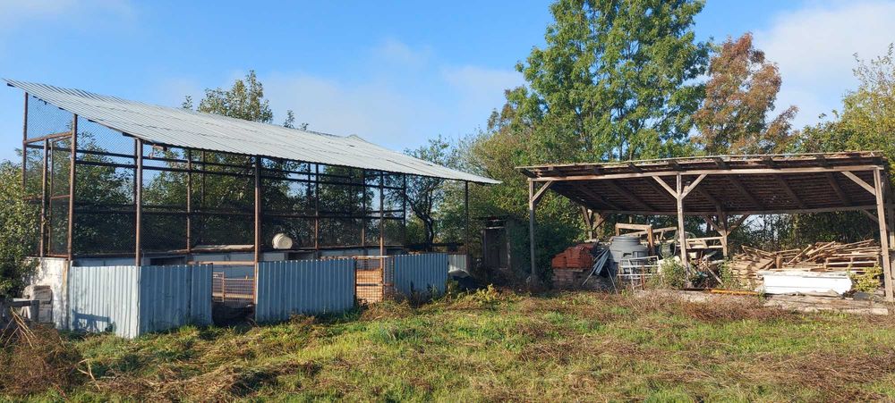 Casa + gospodarie la Silagiu/Buzias