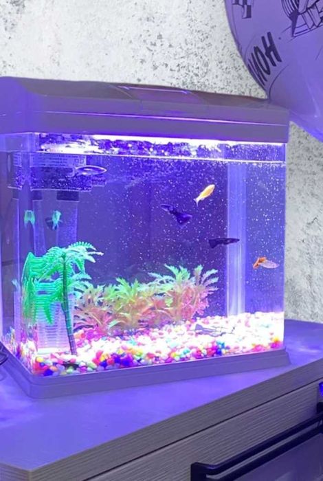 Продам аквариум с рыбками