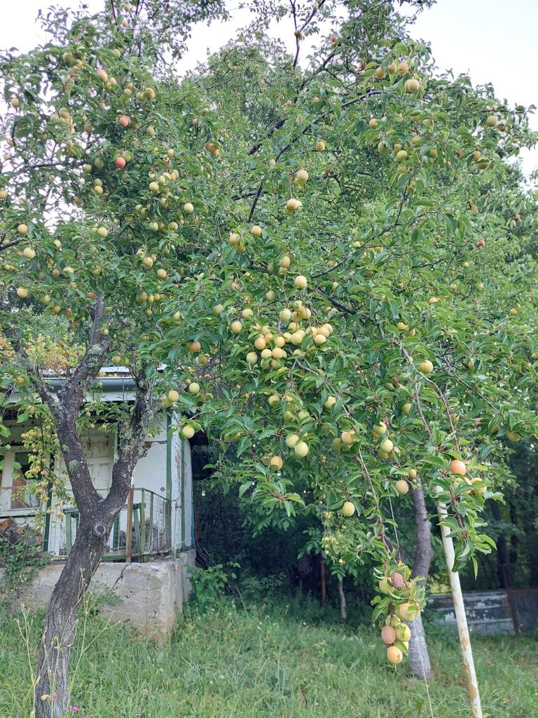 Продава се Къща в София, Красна поляна 1 - 48 кв.м за 834 €/кв.м - Снимка #17