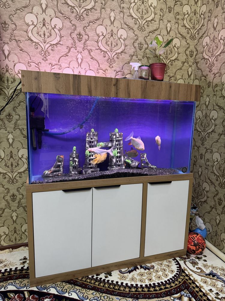 Akvarium sotiladi komplekt