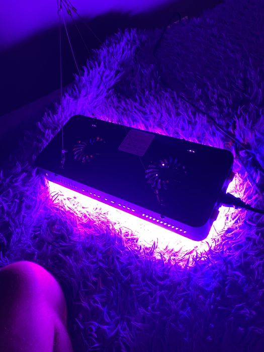 Led grow light lampa ultraviolet perfecta pentru cresterea platelor