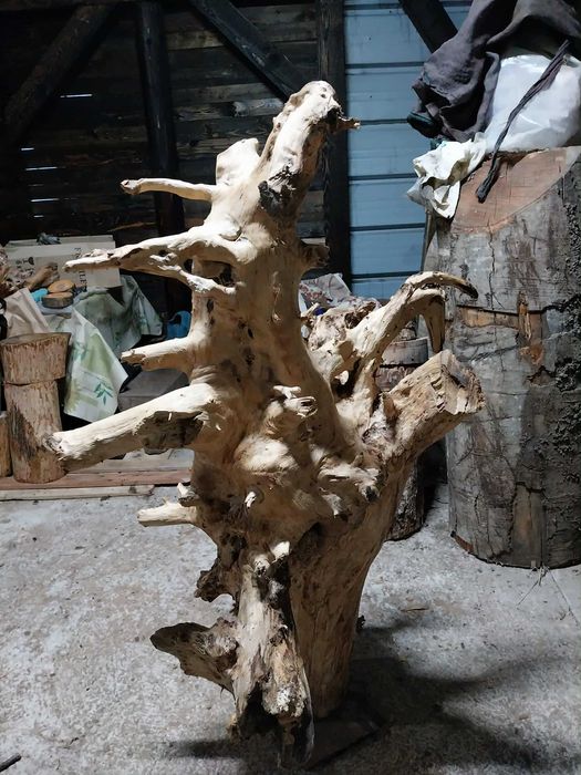 Декорация за градината- 2 корена от Дъб