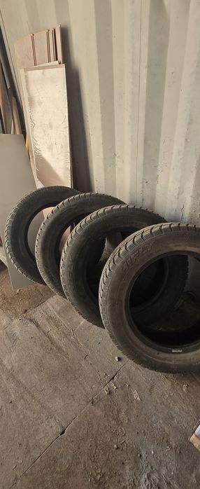 Шины зимные шиповонные