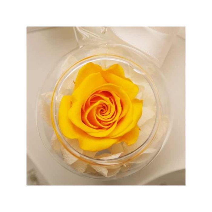 Trandafir criogenat in glob de sticla de 10 cm diametru