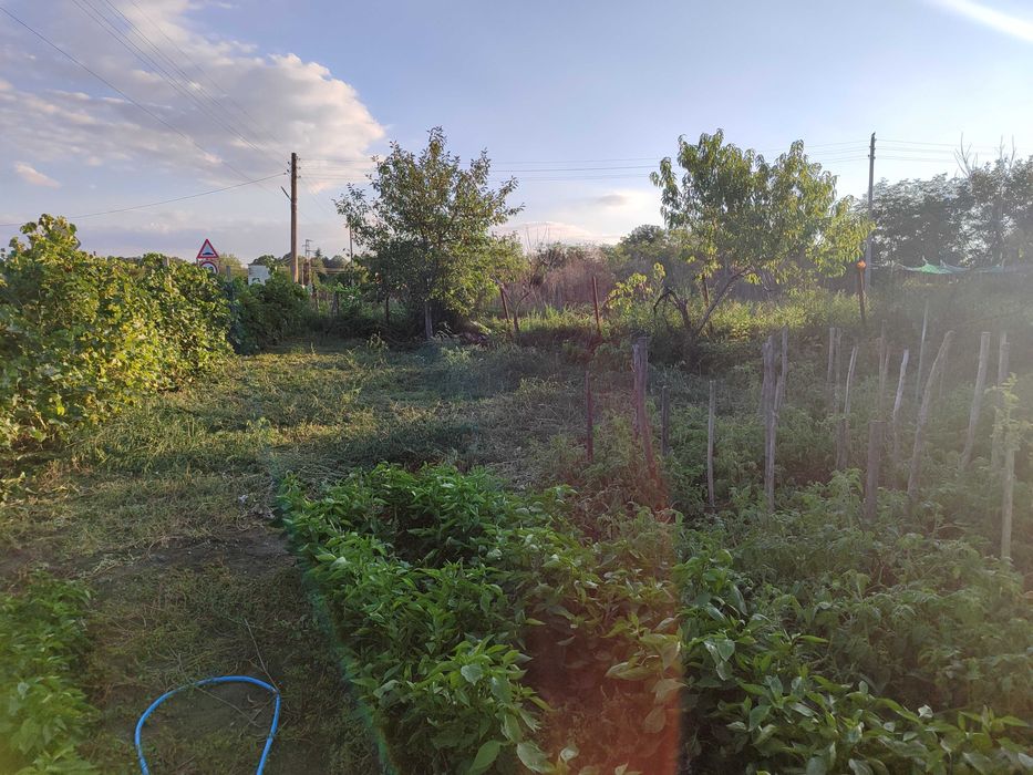 Продава се Къща в с. Сноп, Област Добрич - 80 кв.м за 447 €/кв.м - Снимка #4