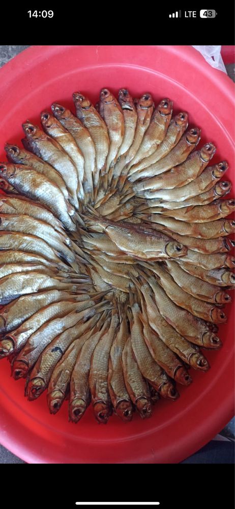 Туркестан копчёная рыба