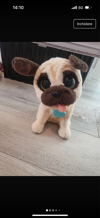 Catel furreal interactiv