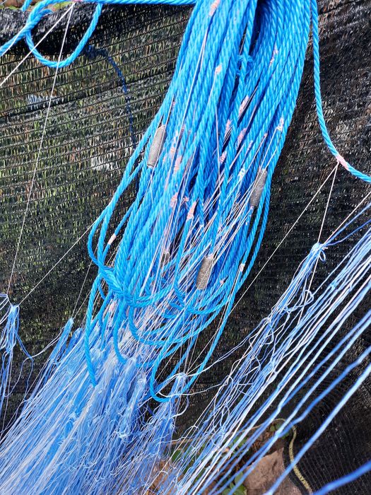 Vand plasa pescuit peste peste 3kg