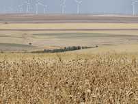 Vanzare/Inchiriere teren pășune 59 Ha-Ideal Parc Energetic