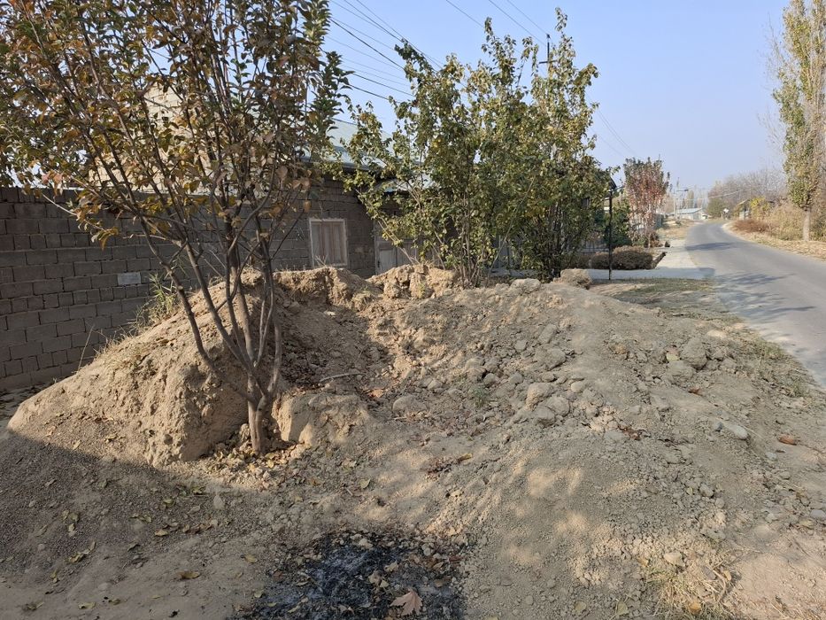 Тупроқ, тозза тупроқ