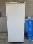 Congelator bosch