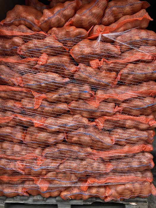 Cartof cosum sac 10 kg