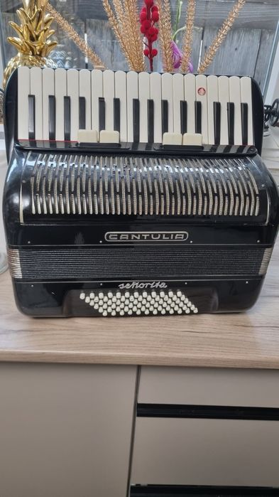 Acordeon cantulia