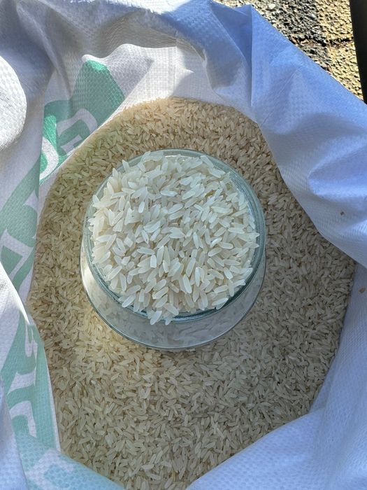 Лазер рис  на продаже ЛАЗЕР