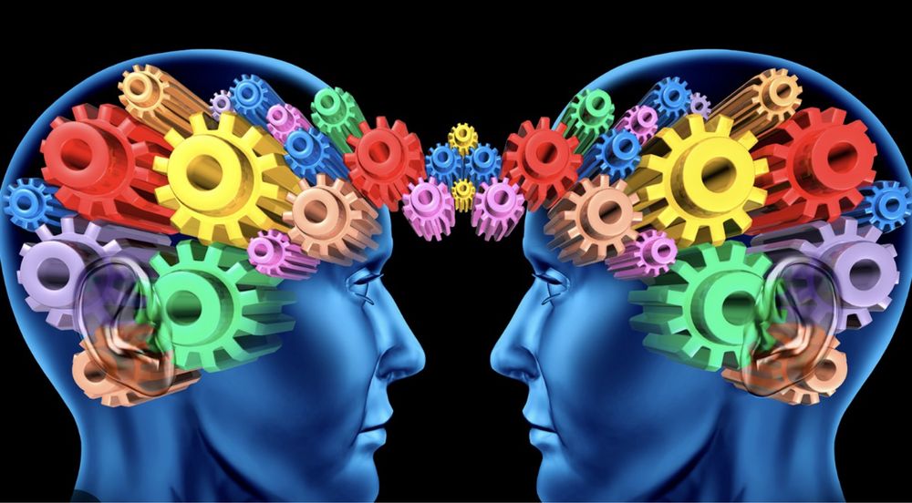 Meditatii Psihologie - Bacalaureat + Admitere Facultatea de Psihologie
