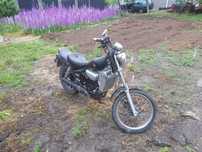 Aprilia  Red Rose