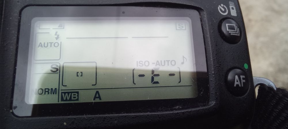 Nikon D 90 shuter defect