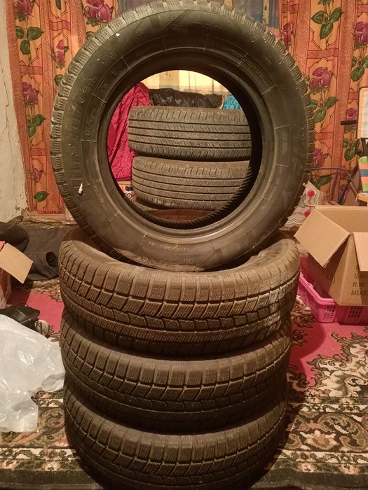 Зимный авто шина