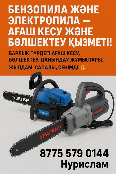 Агаш Кесемыз Сарыағаш