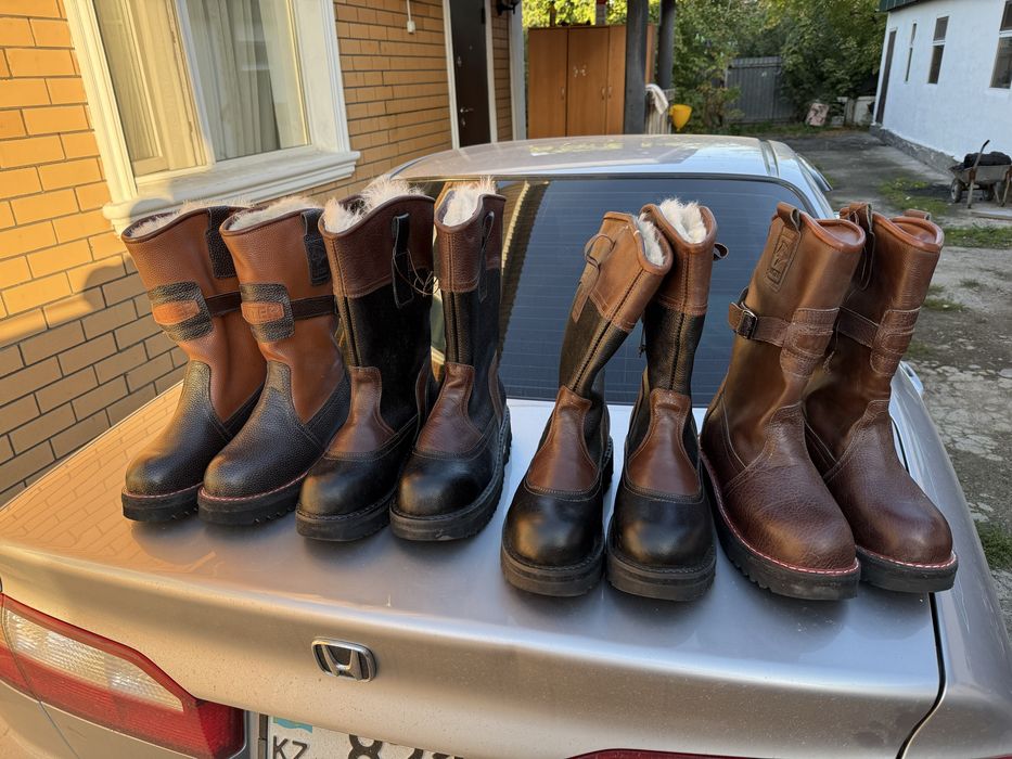 Унты с Монголий як волк сабака баран верблюд