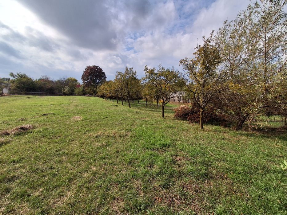 Vind teren Albota str. Morlovani 2100mp