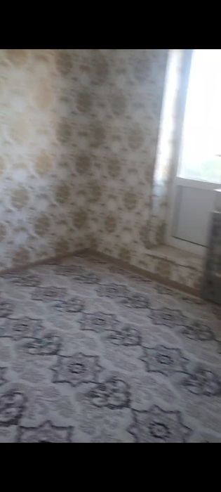 Buxoro shahrida 3 xonali uy ijaraga beriladi , hamma sharoitlari bor.